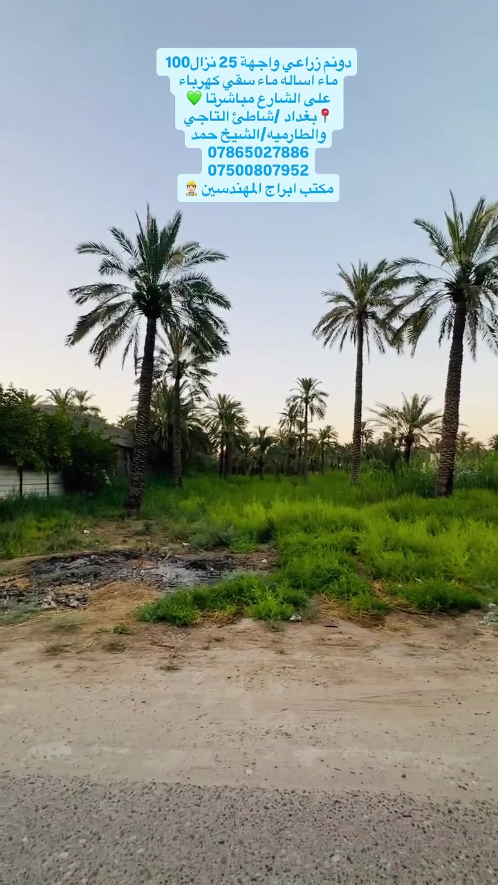 دونم للبيع ملك صرف 
بغداد/شاطئ التاجي والطارميه/الشيخ حمد ✅
***********
***********
المهندس محمد رحيم 
مكتب ابراج المهندسين
