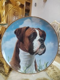 مواعين مصورة • نادرة • ماركات عالمية