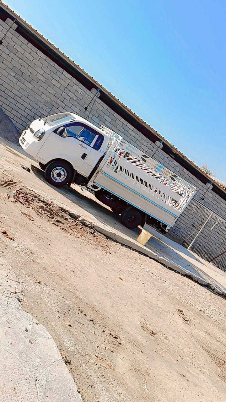 كيا فحل موديل 2024 رقم اربيل ماشيه 29 الف سياره جديده بيها حصه كاز سياره بسمي كلشي بيها شرط ما متوجد عل فيس السعر 213 بيها مجال *********** واتساب
