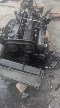 ماشاءالله يستاهل رعيها هاون هاي حجي ***********علي عادل الفيتر
