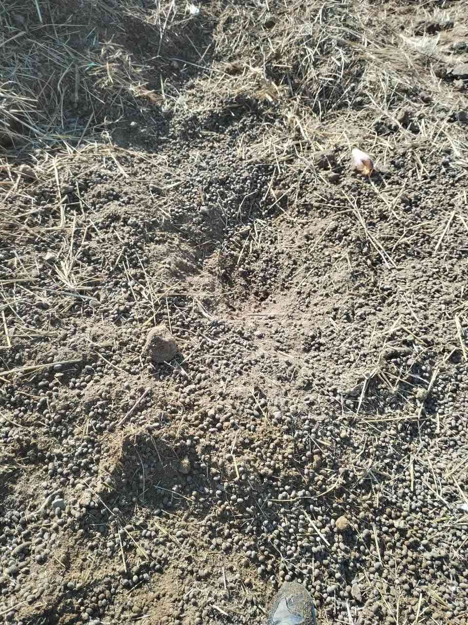 ديمن نضيف  اللبع ***********
