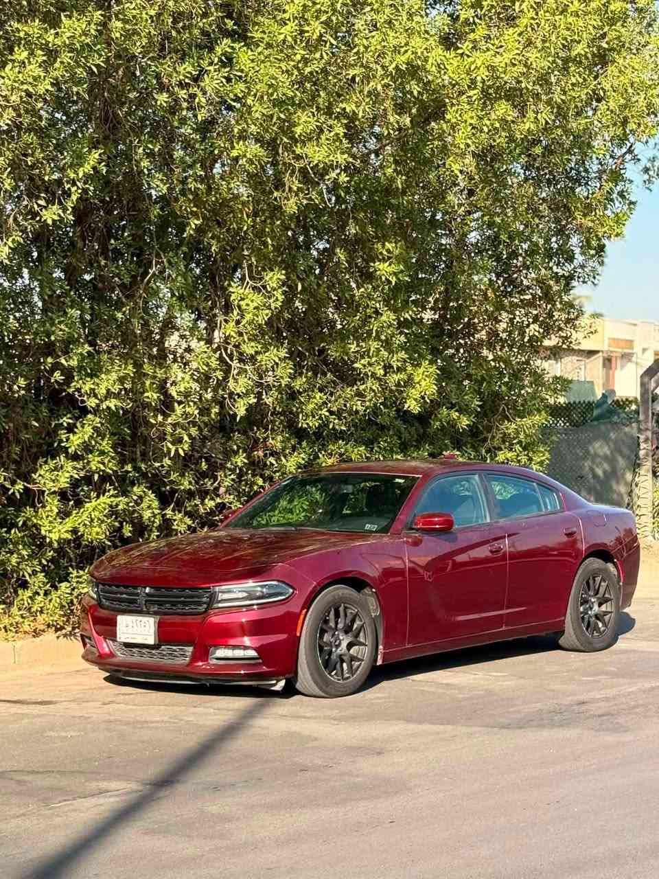 السلام عليكم
جارجر كندي 2018 كلين للبيع
6 سلندر SXT ستندر
ماشية 50 ميل فقط
حساس خلفي شاشة كبيرة كامرة 
مري تعتيم وتدفئة
تدفئة كشنات امامي
ويل 18
السيارة مكفولة كفالة عامة من الصبغ والتبديل والسونار مرفق بلمنشور
رقم بغداد
المكان شارع فلسطين
***********
السعر 21,000
