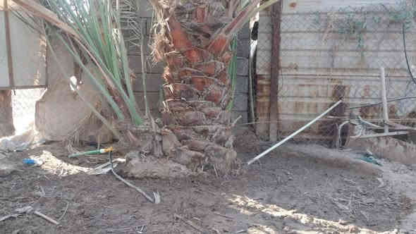 فسائل برحي حر البيع حمالات العنوان بصره شط العرب الفيحاء ***********
