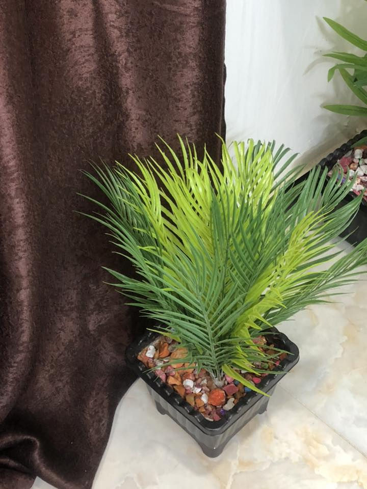 للبيع بغداد الشعب


**إذا كنت صاحب هذا الإعلان وتريد حذفه لأي سبب، رجاءا أرسل رسالة إلى الدعم الفني**