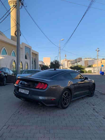 كوردي عربي 

Mustang 2023

٣ پارچە و سەقف سبوغ 
(چامرلغ پێش و پشت 
بۆنیت) 

بەتانەی گرتووە

ئێرباک سوکان 

چوارپستۆن 
مەکینە نەکرایتەوە 

سەنەوی نوێیە 

٣٢ هەزار مایل چووە 

نرخ /  $ 13800

واتساب+ژمارەی ئاسیا (***********(
ژمارەی کۆرەک (***********( أربيل
