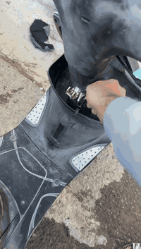 ماكس عدلة
بوشه 49 مفتوح مرة وحدة بس ولفات مبدل .....
كامل كلشي.... نكرة سلف 
تكريت عنواني 
سعر 575 بي مجال


**إذا كنت صاحب هذا الإعلان وتريد حذفه لأي سبب، رجاءا أرسل رسالة إلى الدعم الفني**