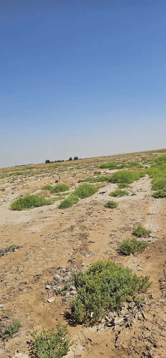 السلام عليكم دونم ونص للبيع على شارع العام قرب المغتسل الخيري متوفر ماء وكهرباء 
صالحه لعددة مشاريع مطعم سياحي وغيرها

اخوان سندها ضايع اتكفل بيها فقط من العشائر اسوي مكاتبه رسميه 

سعرها 40مليون وبيها مجال


**إذا كنت صاحب هذا الإعلان وتريد حذفه لأي سبب، رجاءا أرسل رسالة إلى الدعم الفني**