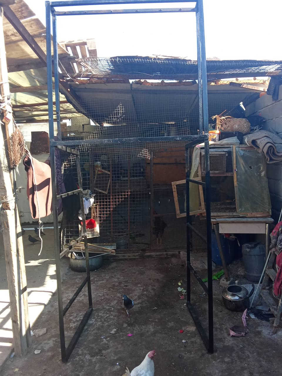 سلام عليكم للبيع محجاب حجر تفصال جديد سعر 125 كارب البياع معالج شعر ربيعي وهذا رقمي بواتساب***********
