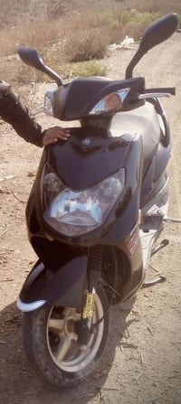 سكنس فحل • جديد • خربطه