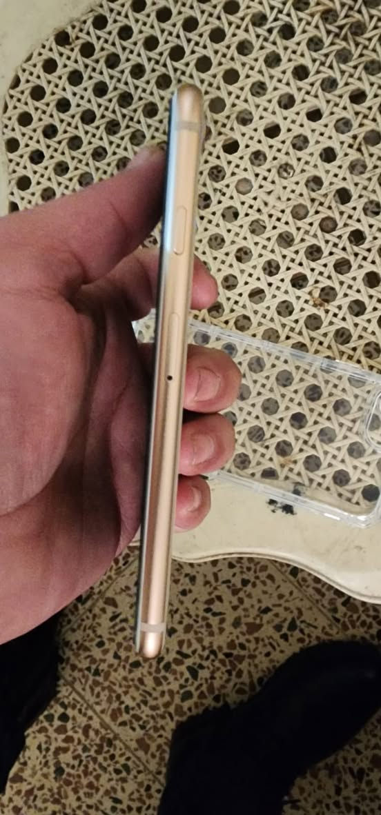 سلام عليكم .. ايفون 8 عادي ذاكرة 64 جهاز جديد بمعنا الكلمة مبدل بس بطارية اصلية وكالة انظف من الصور السعر قفل 180 يرهم مراوس جهاز يسوة اكثر من سعرة اقرة المنشور يلا تدخل خاص


**إذا كنت صاحب هذا الإعلان وتريد حذفه لأي سبب، رجاءا أرسل رسالة إلى الدعم الفني**