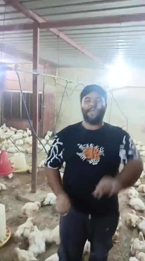 السلام عليكم مجزرة تبارك الأسعار يمنه 🔥🔥🔥🔥 ٣٠٠٠ بسسس
الشارع الرئيسي مقابيل مدرسة الهدى للبنات ومجاور مطعم تبارك اهلا وسهلا بكم


**إذا كنت صاحب هذا الإعلان وتريد حذفه لأي سبب، رجاءا أرسل رسالة إلى الدعم الفني**