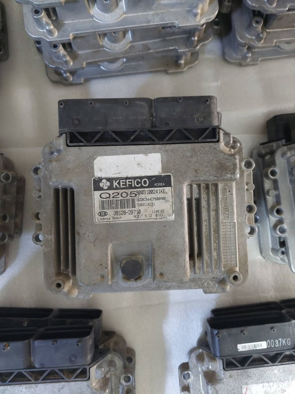 سلام عليكم
متوفر عقول اكسنت وريو 
جمله ومفرد
توصيل متوفر 
***********
