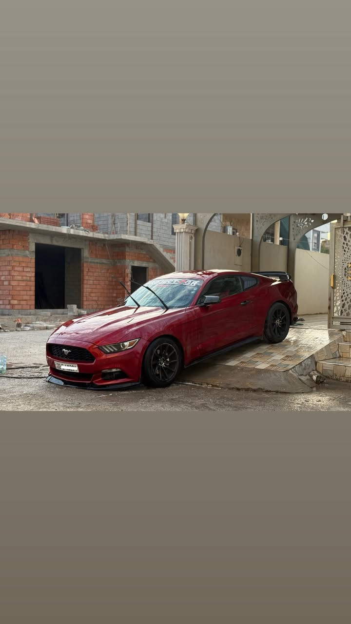 موستنك 2016♥️♥️
ماشيه 106mi

سياره جاهزه وكامله من كلشي 

فول كماليات ميحتاج اذكرهم لان كله كدام العين

ويل 18

سياره 3قطع صبغ بدون شواصي بدون دواخل

جاهزه للاخير السياره ♥️

للمراوس فقط فقط مراوس 

مكان السياره كركوك 

***********
