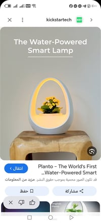 سندة نباتات • إنارة نباتات • نباتات صغيرة