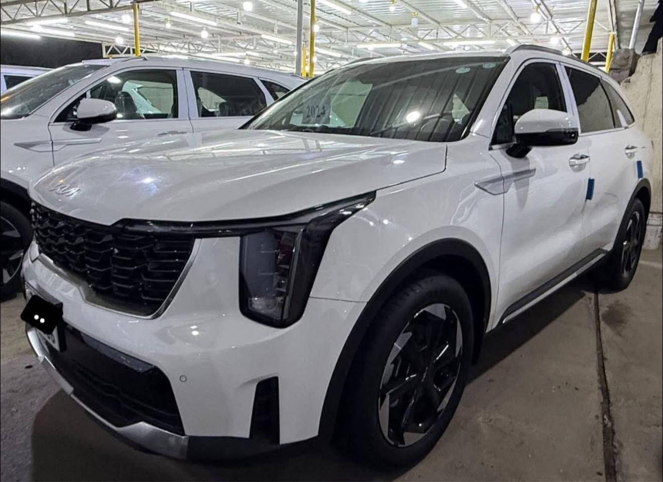 305$


**إذا كنت صاحب هذا الإعلان وتريد حذفه لأي سبب، رجاءا أرسل رسالة إلى الدعم الفني**