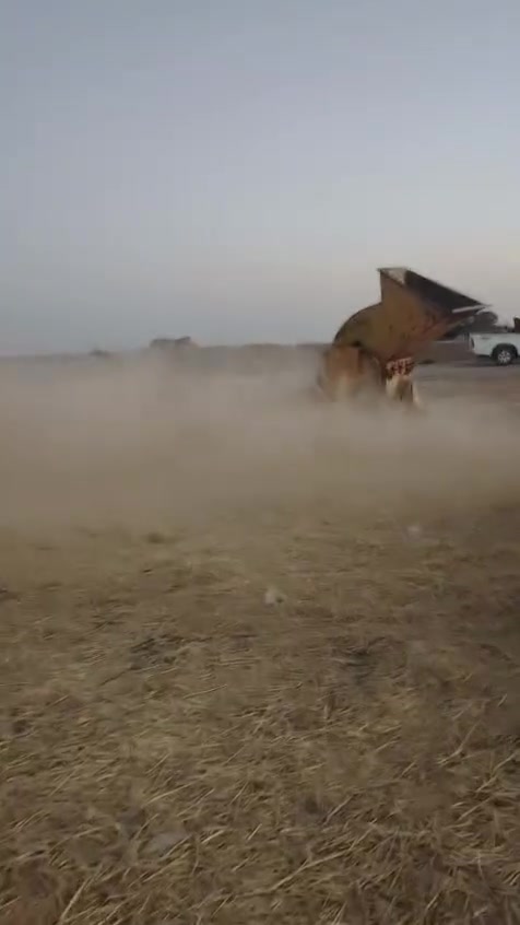 دكاكه تبن للبيع شرط الشغل ذنون اولاد حليمه
اخت الجديده ، طاحونه جديده 
الأستفسار 
*********** واتساب موجود الخاص مفتوح 
رجا الموشراي لايعلق شوفت عينك الدكاكه جديده
