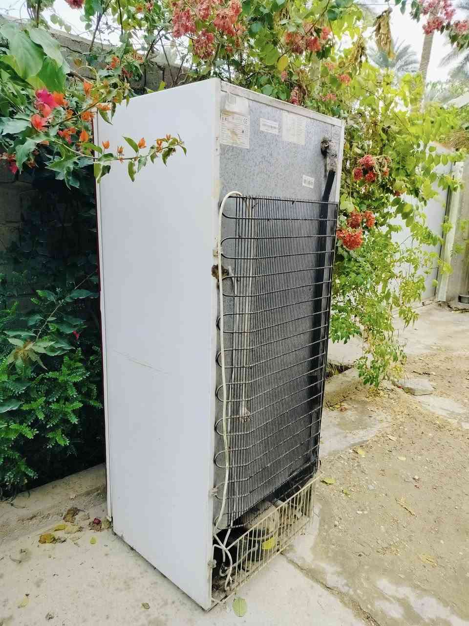 السلام عليكم 
ثلاجه كريازي  للبيع كشر نظيفه جدا  عطلت فجاءه كالو احتمال تبديل ماطور تحتاج ....مموديته مصلح


**إذا كنت صاحب هذا الإعلان وتريد حذفه لأي سبب، رجاءا أرسل رسالة إلى الدعم الفني**