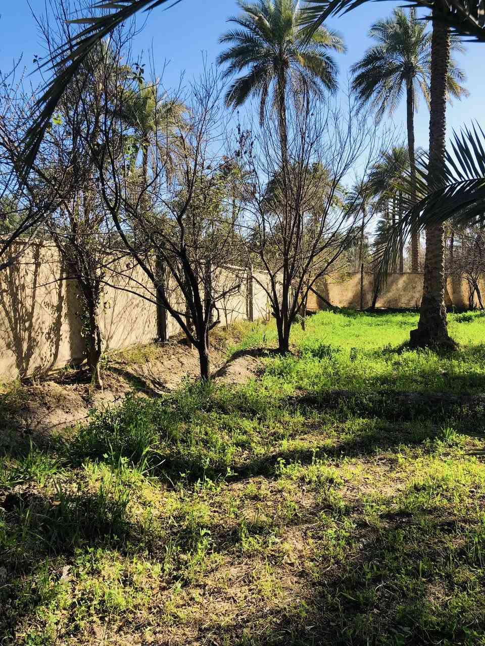 1000 م للبيع تحويل باسمي الموقع طريق زينب الكبرى قرب قنطرة الابراهميه الوجه 35 على فرعي تبعد عن الشارع العام 400 م السعر 125 مليون وبيه مجال 
***********
