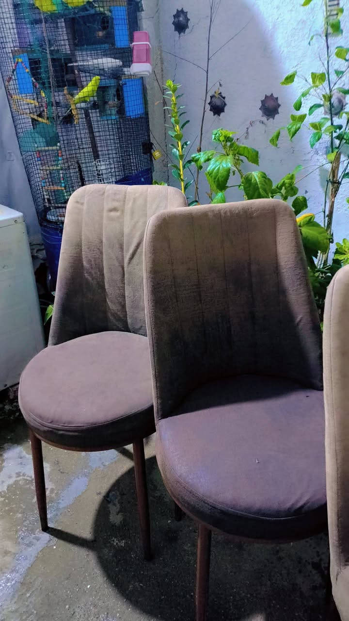 ميز 10كراسي الواحد على 5 اربعه


**إذا كنت صاحب هذا الإعلان وتريد حذفه لأي سبب، رجاءا أرسل رسالة إلى الدعم الفني**