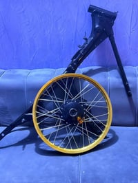 شاصي كلك • مصبوغ • ويل انيرجى اصلي