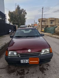 كاديات • موديل 1991 • صبغ فقط