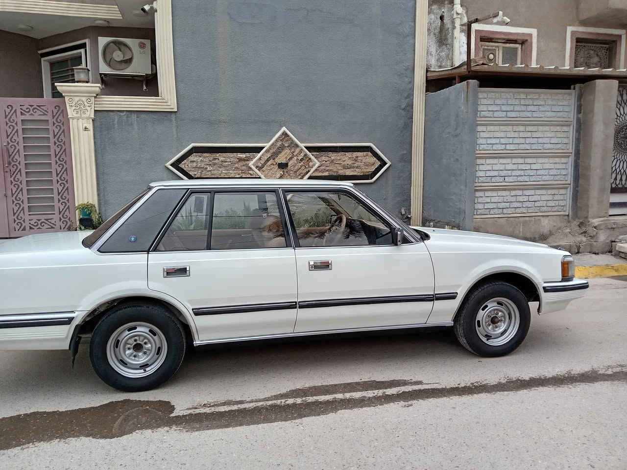 السلام عليكم ورحمه الله وبركاته اخوان سوبر للبيع موديل 84 ماكينه وكير بلادي تبريد تدفئه حداديه كله جديده امامي خلفي اربع بيبان سنتر بلادي سياره مكفوله
للأتصال
***********
***********
***********
