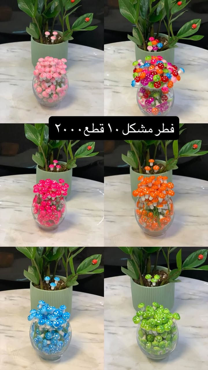 الحلويات وصلت عمي التفاصيل داخل الصور
بابل مسيب شارع الاول 
توصيل داخل مسيب ٢
توصيل محافظات٥٠٠٠
انستكرام.  oscar_shope97


**إذا كنت صاحب هذا الإعلان وتريد حذفه لأي سبب، رجاءا أرسل رسالة إلى الدعم الفني**