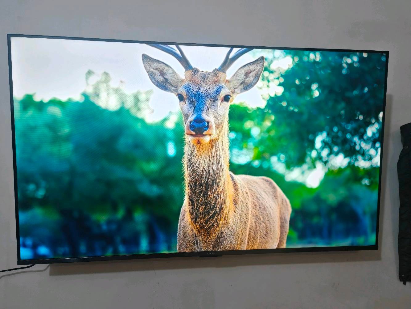 شاشة شاومي A pro 2026  حجم 55 نظافة 100% كامل ملحقات استخدام شهر نقص كارتون فقط للبيع سعر 450 قفل قفل او مراوس بtcl نفس الحجم والسبب تغيير لا اكثر
عنواني بغداد ماعندي توصيل اي استفسار عالرقم ***********