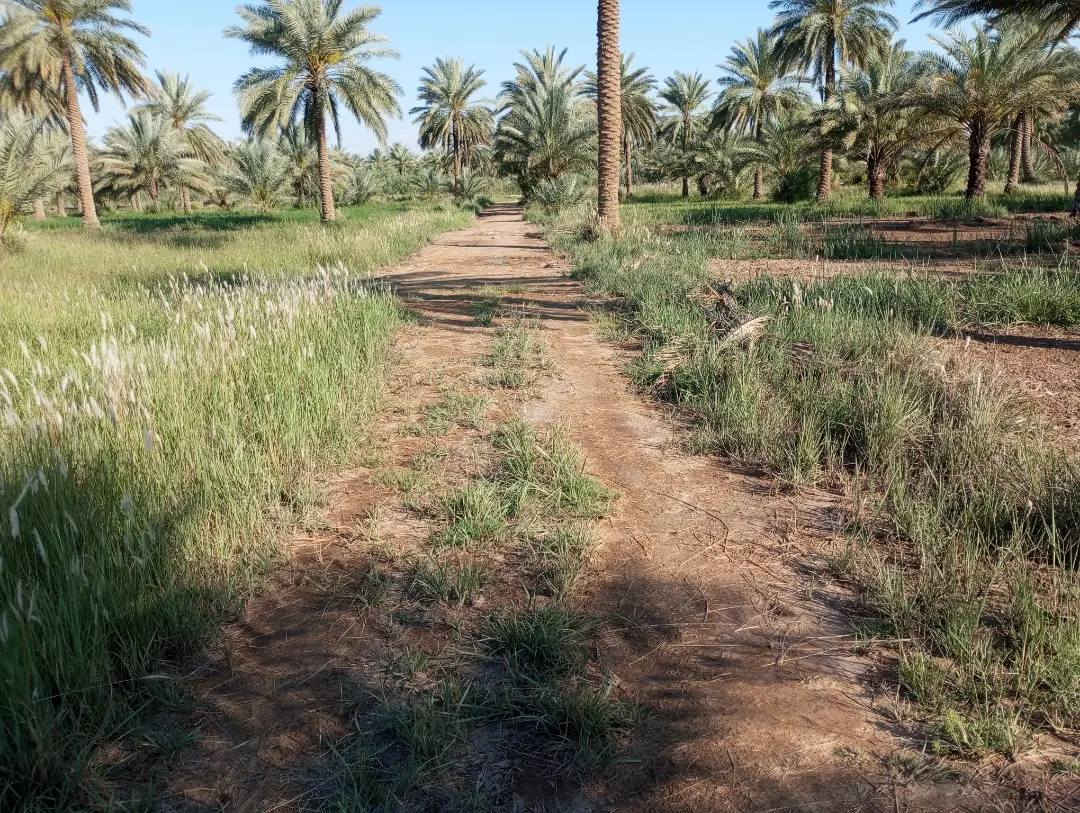 للبيع  قطعه  مساحه 1750م طابو زراعي سند 25 طريق بغداد كربلاء تنزل شارع الخدمي الزوار تقريبا 400م بل زايد  قطعه مخدمه كهرباء مي كلشي متوفر يمها

#كربلاء #طريق_بغداد #الخدمي #الزوار #عقار #للبيع  #زراعي  #كربلاء
#كربلاء_المقدسة
#عقارات_كربلاء
#بيوت_كربلاء
#أراضي_كربلاء
#كربلاء_اليومعقارات_كربلاء #كربلاء #عقارات_العراق #بيوت_للبيع #اكسبلور #ترند_العراق #استثمار #عقار #كربلاء_المقدسة #fyp #عقاراتي #دار_للبيع


**إذا كنت صاحب هذا الإعلان وتريد حذفه لأي سبب، رجاءا أرسل رسالة إلى الدعم الفني**