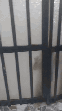 سلام عليكم دار للبيع مساحه ٨١في منطقة كويريش ب٤٠٠٠ يحتوي صالة و٣ غرف نوم ومطبخ ترميم جديد سعره ٩٥ وبيه مجال للاستفسار خاص او الاتصال على ***********
