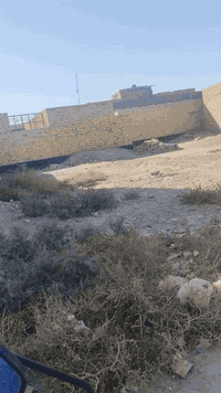 بلاش ***********
