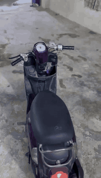 سلام عليكم دراجه بوليس موديل 2007 
لون 💜 دراجه خير من الله عله كد شغلي اروح بيهه وارجع كل الكهربائيات شغاله نكره سلف مكيه مكفوله ما مفتوحه مثل ما تشوف كدام عينك 
950$ بيهه مجال حك الجيه تحياتي لجيمع 
*********** بغداد المشتل
