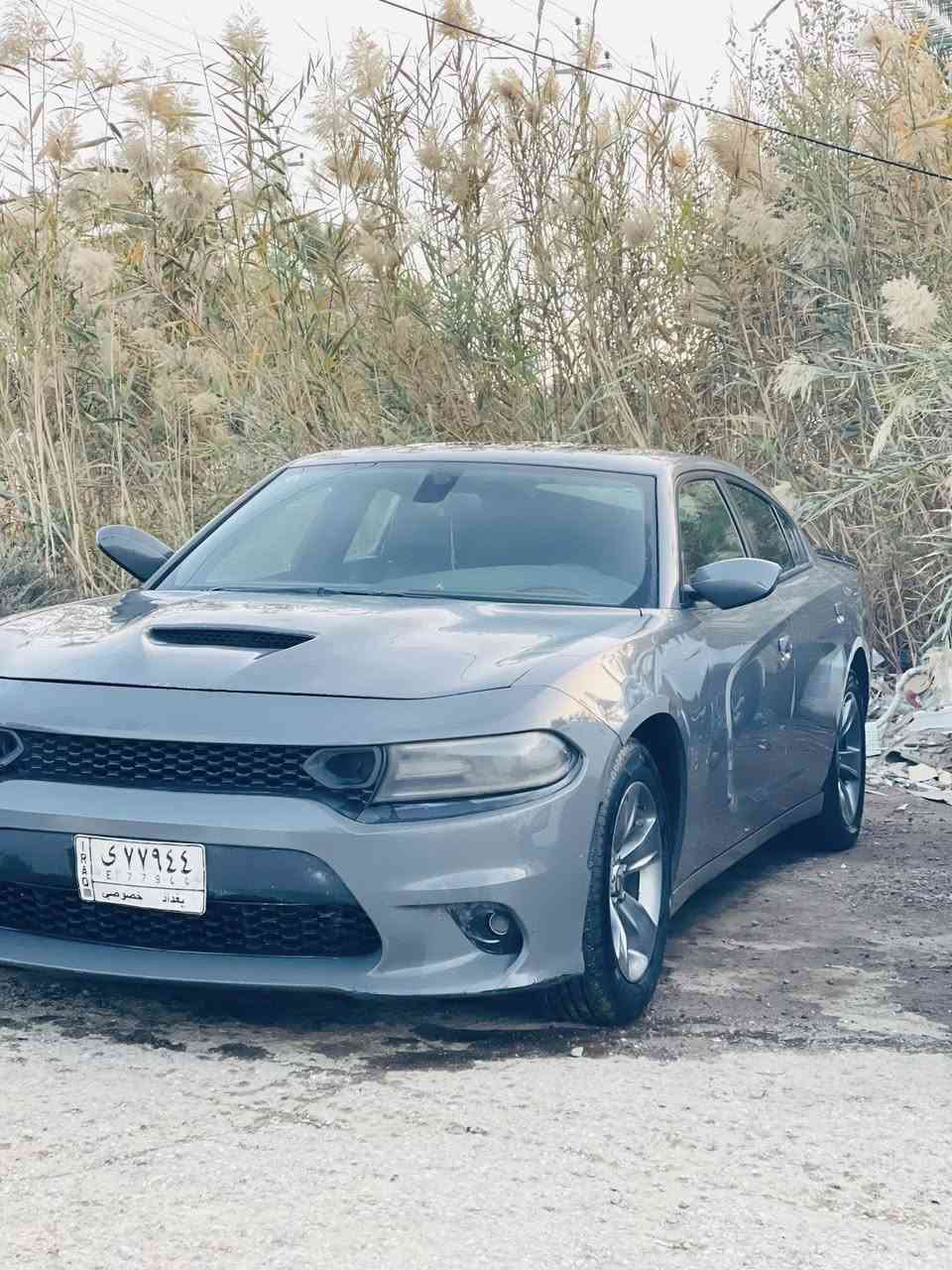 جارجر 2019 فول مواصافات
حادث خفيف بدون ارباك 

جاملغ ايسر وبنيد محدث 

كشنات جلد حضن تدفئة تبريد 

خزن ميموري 

شاشه وسط 

فتحه 

تخم تاير وحدايه وسط

225 وبيها مجال

مكاني ناصريه سوق الشيوخ  

مامتواجد بالفيس 

***********
