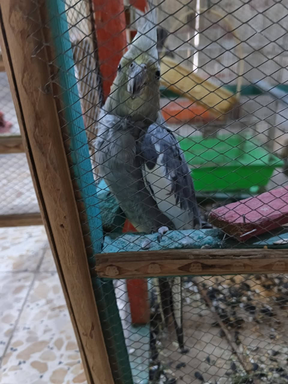 كوكتيل اليف نص ونص سعره 25 موقع في سبع البور


**إذا كنت صاحب هذا الإعلان وتريد حذفه لأي سبب، رجاءا أرسل رسالة إلى الدعم الفني**