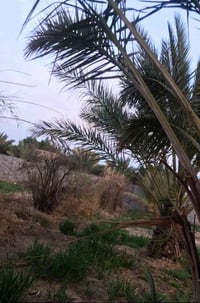 نهاية الشبانات • ٥٠٠م • ماء كهرباء مجاري