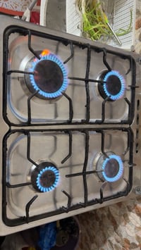 طباخ • شغال • نقص جامه