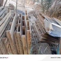 سكيبات • ٢١ • سوق الشيوخ