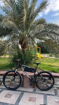 كانندل الامريكي • ٢٧ ونص • شيمانو ديور