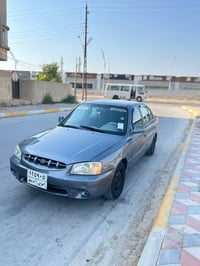 فيرنا • ٢٠٠٩ • رقم أربيل