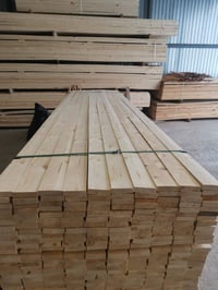 صنوبر • شجر زينة • ديكور منزلي