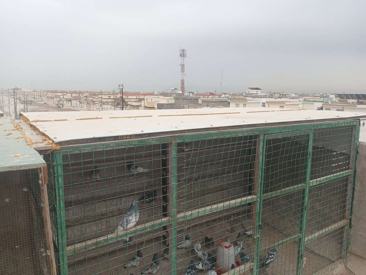 سلام عليكم
واجهيه تلث امتار ونص وصفاحيه وشخاط وسندويش سكف اربع امتار لا ربع 150الف 
***********
***********
