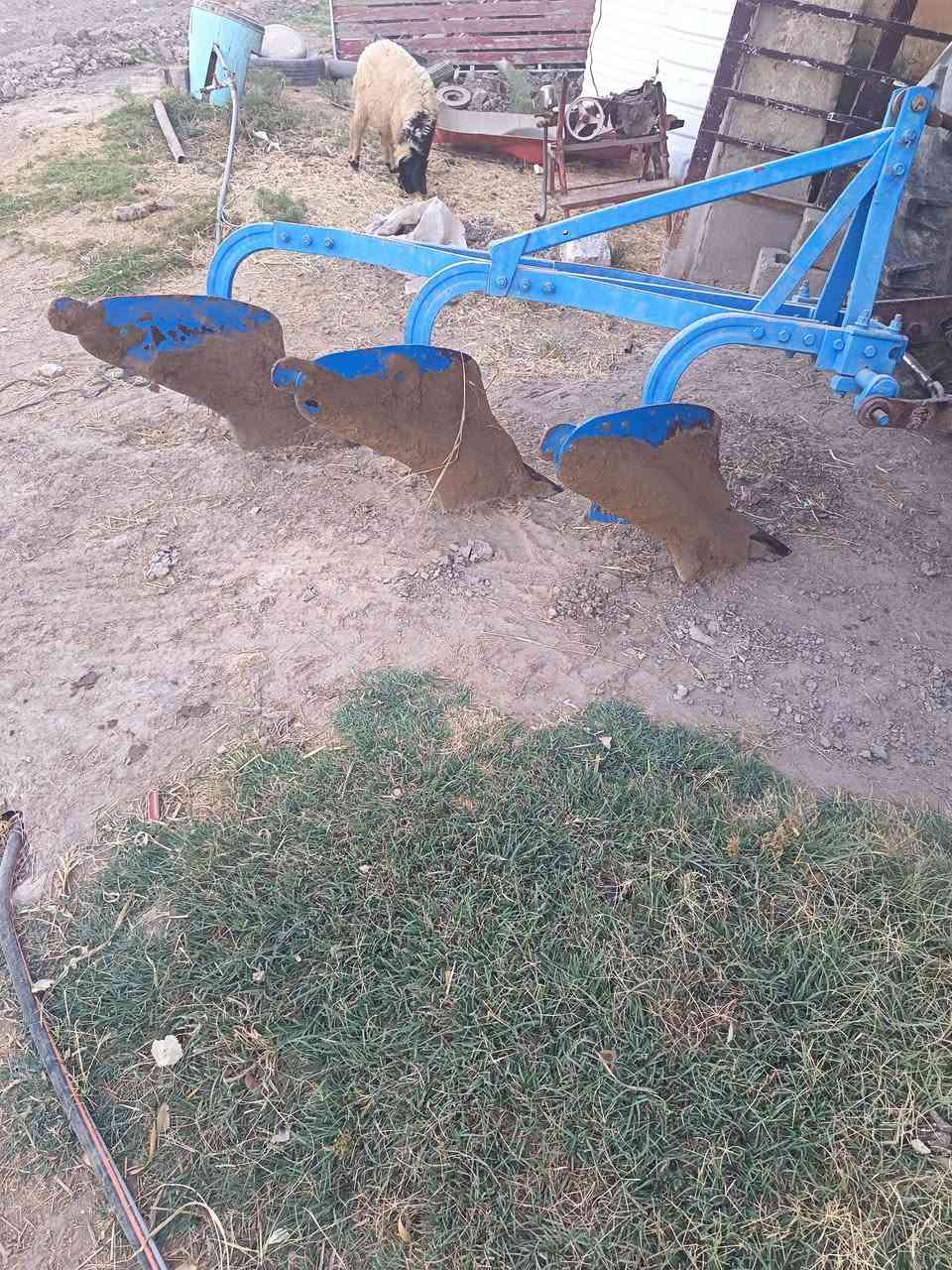 السلام عليكم
فيدان للبيع يكرب وخير من الله
لل استفسار
*********** بي وتساب 
***********
