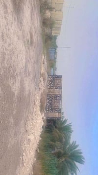 مسيب • ٣٠٠٠متر • طابو زراعي