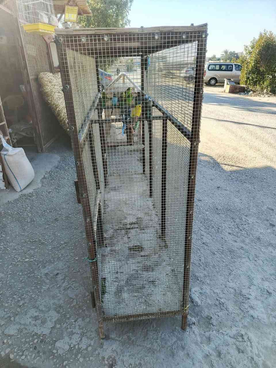 قفص حديد نضيف كلش ارتفاع 170 وطول مترتين مع طيور حب ست ازواج وتك مكان المحاويل حي ابو زديره الشراي يرسلني او يتصل ***********

