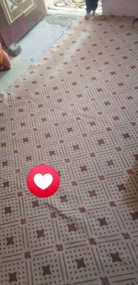 كاربت • نظيف كلش • استعمال بسيط