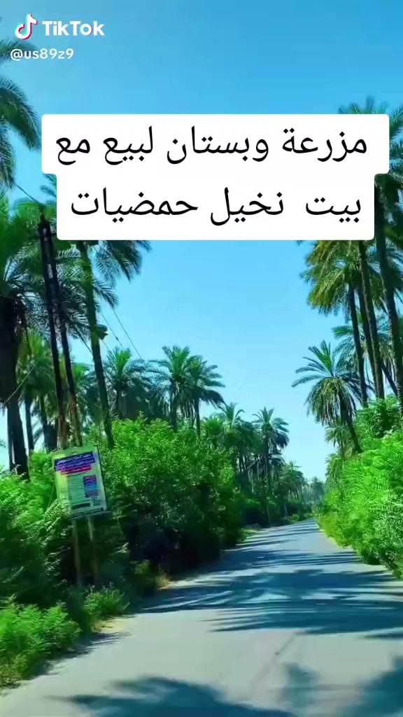 ارض زراعيه مساحتها ١٦٧ طابو زراعي سند ٢٥ الك الحق التصرف قضاء المدائن منطقة النج مجاورة وملاسقة الى شركة دواجن بيض المائدة  ٧ دونم شاطية متكونة من بيت  اضافة الى انواع النخيل من البرحي والبريم والشويثي والزهدي والخستاوي والسلطاني وارده السنوي لان تاجر  حوالي ٣٠٠ مليون  اضافة الى انواع الحمضيات من البرتقال والليمون واللانكي والنارج  كذلك فيها ٦٠ دونم مزورعة حنطة شعير واردها السنوي ١٢٥ مليون سعر الدونم ١٢٠ مليون قابل للتفاوض رقم وتساب لمعرفة التفاصيل ***********
