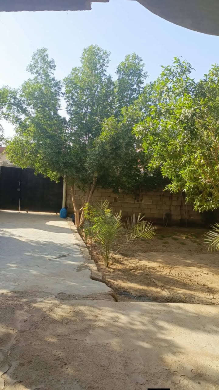 السلام عليكم
دار للبيع وجه شارع عام وركن وشارع فرعي متكون من طابقين 4غرف منام قياس كل غرفة 5.4   وصالة 10 .5 واستقبال 8.5 ومطبخ5.4 وصحيات داخلية وخارجة ومناور وقطعة خلف البناء 200متر من ضمن الدار على شارع صادة ركن  المساحة الكلية 540متر خدمات كاملة تبليط ماء مجاري مدارس  منطقة هادئة. . الموقع قرب مطحنة.ديالى او. مرور ديالى نزلة الجوبة منطقة الجوبة. طابو صرف زراعي سند25.تحويل مباشر الشراي يتصل غير متواجد على الفيسبوك ***********
