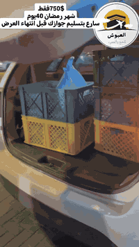 رمضان هل وبالخير طل 🌙🎁🎁🎊 استعد لرحلة معنا بهـذا  الشهر الفضيل 🕌🕋 عروض ...