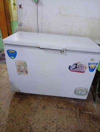 شباب مجمده جديده حلوه السعر 300الاستفسار 07815505572واتساب فقط غير متو...