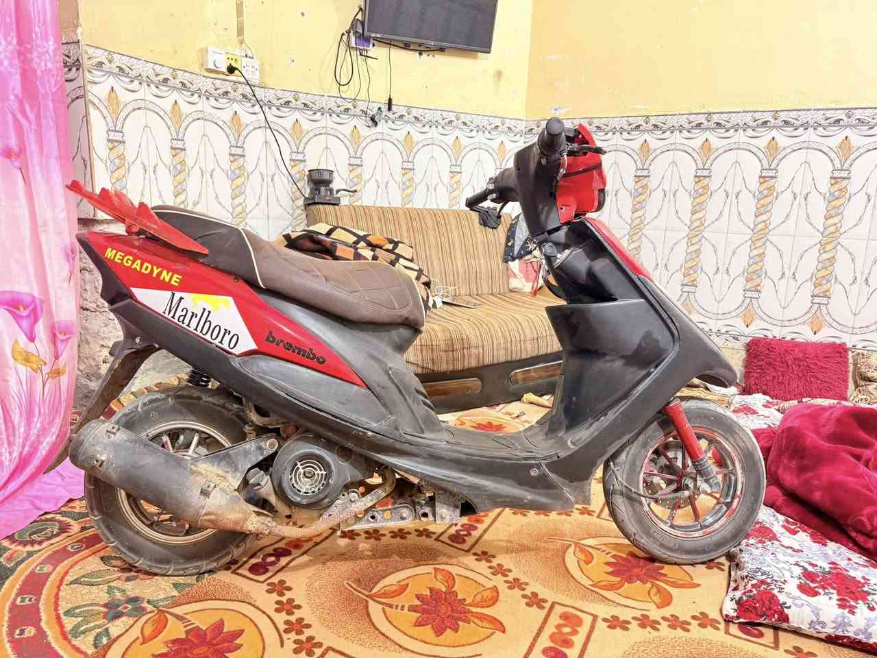 مكاني كربلاء سعره 650 بيه مجال قليل مزودة كله دراجة عده صالنصة كاتم غير متواجد ع نت تليفون ***********
